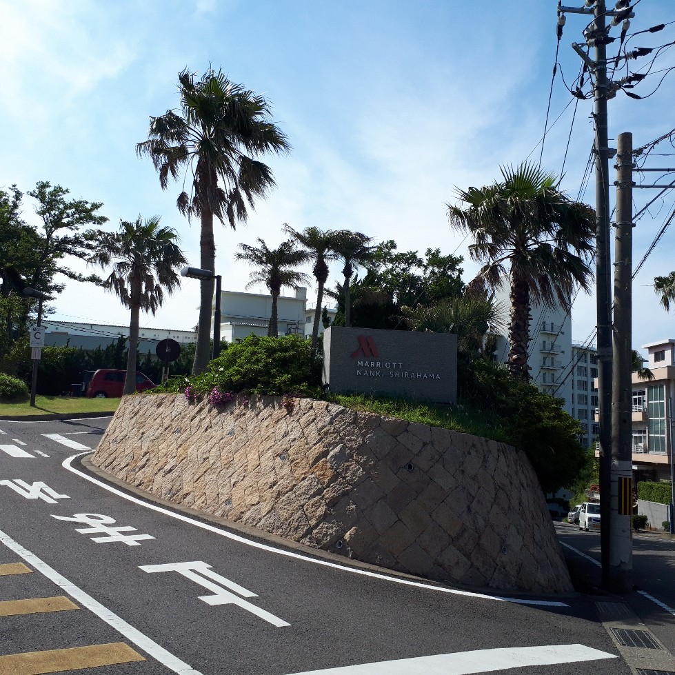 f:id:mizuhosakura555:20180609110059j:plain f:id:mizuhosakura555:20180609110059j:plain