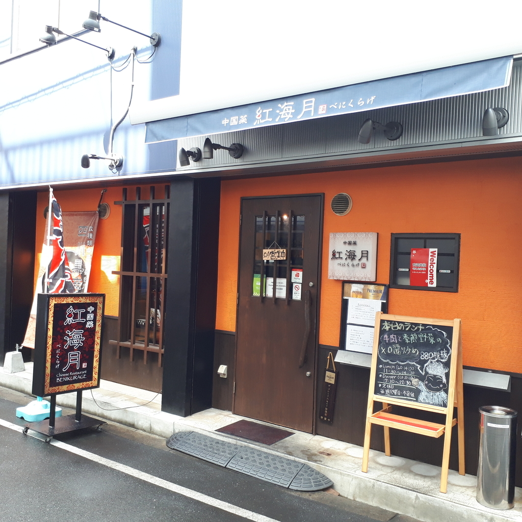紅海月