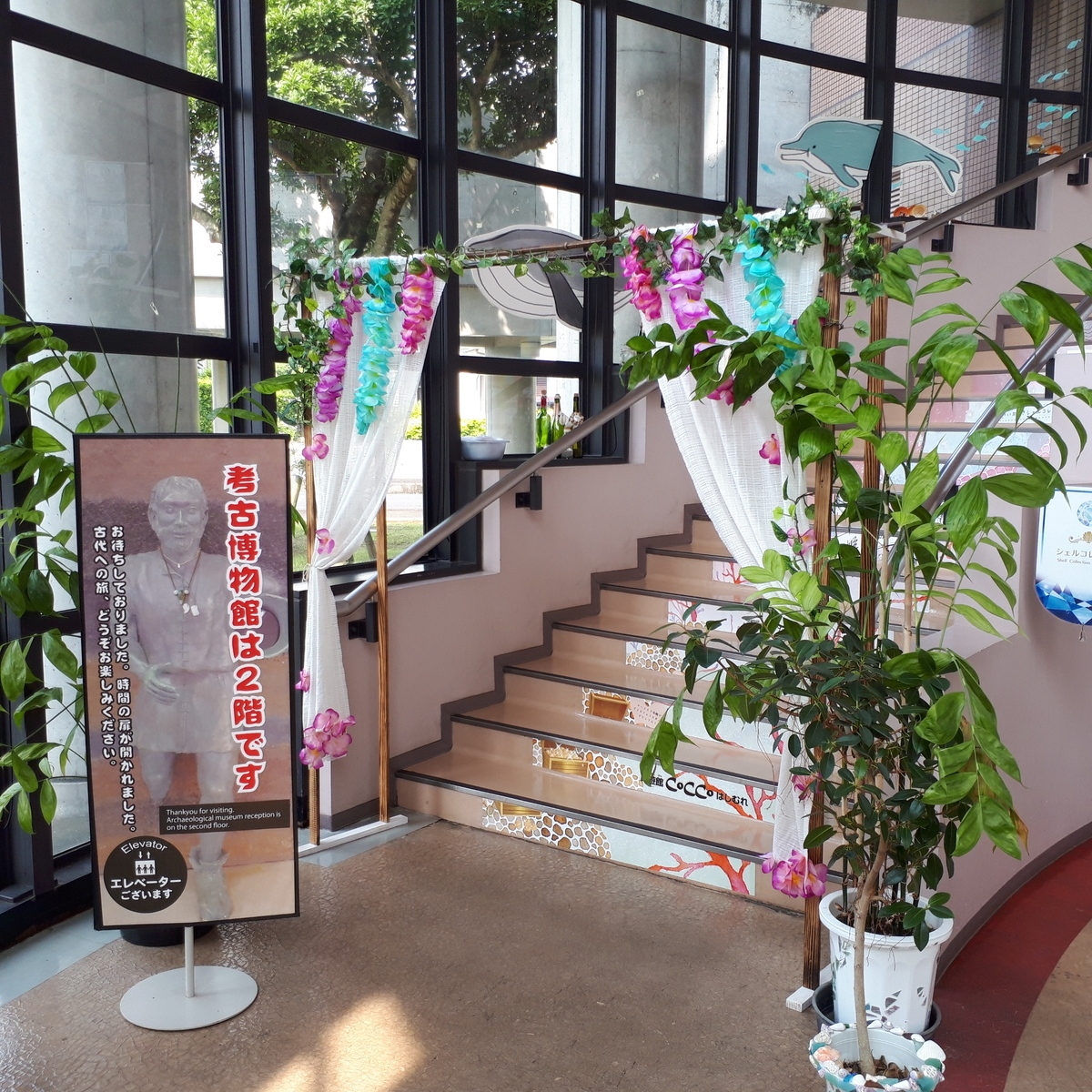 指宿市考古博物館 時遊館 Cocco はしむれ