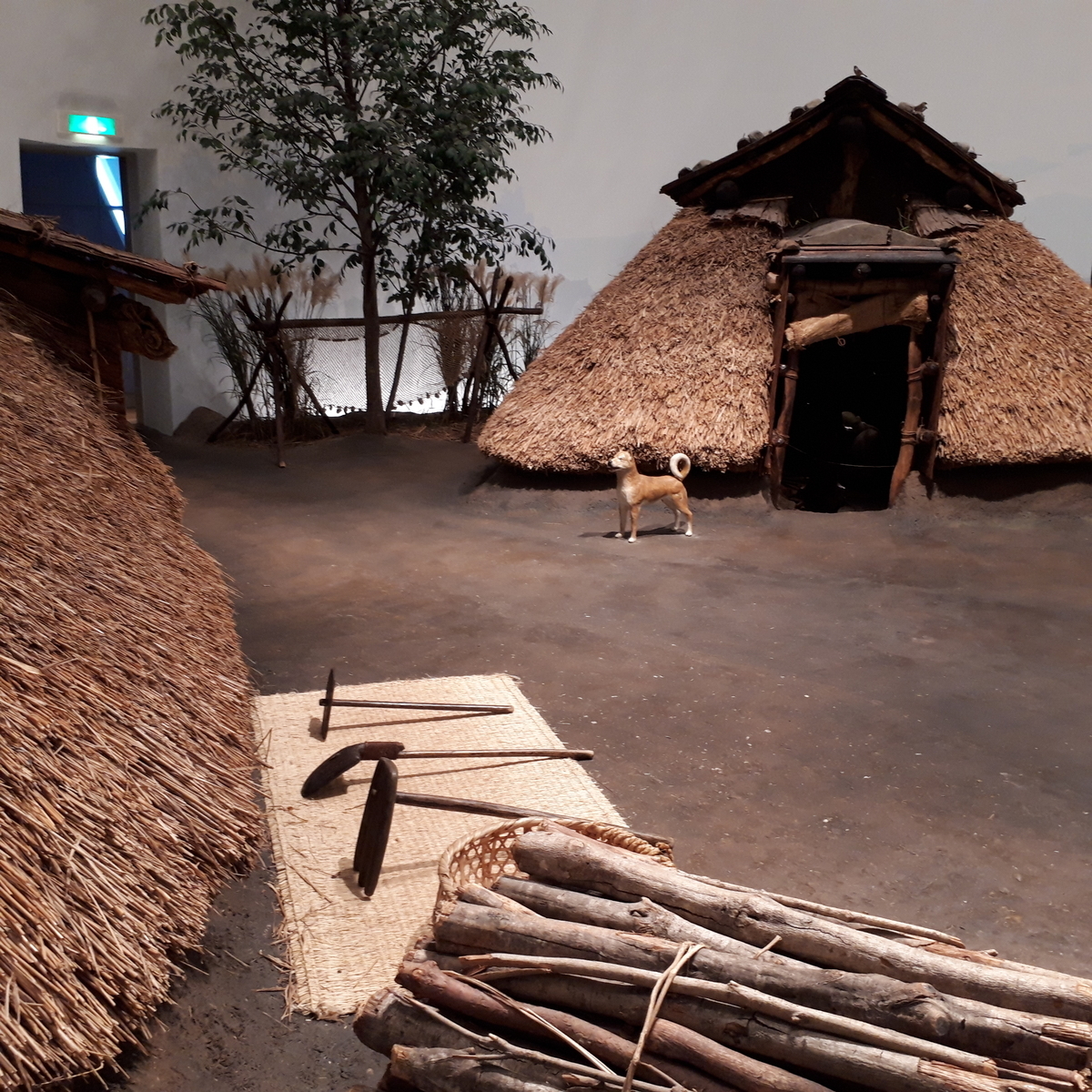 指宿市考古博物館 時遊館 Cocco はしむれ 1500年前の古墳時代のムラを再現