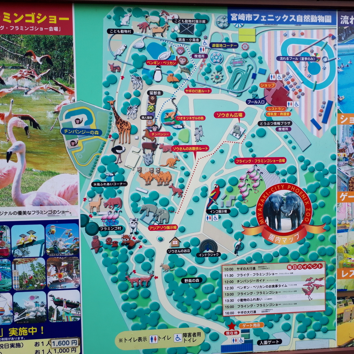 宮崎市フェニックス自然動物園 案内図