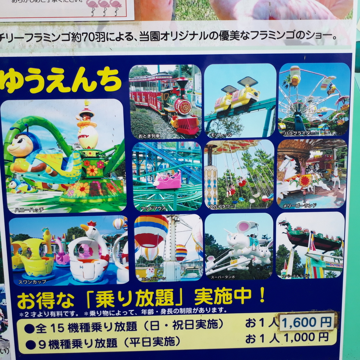 宮崎市フェニックス自然動物園 ゆうえんち 案内