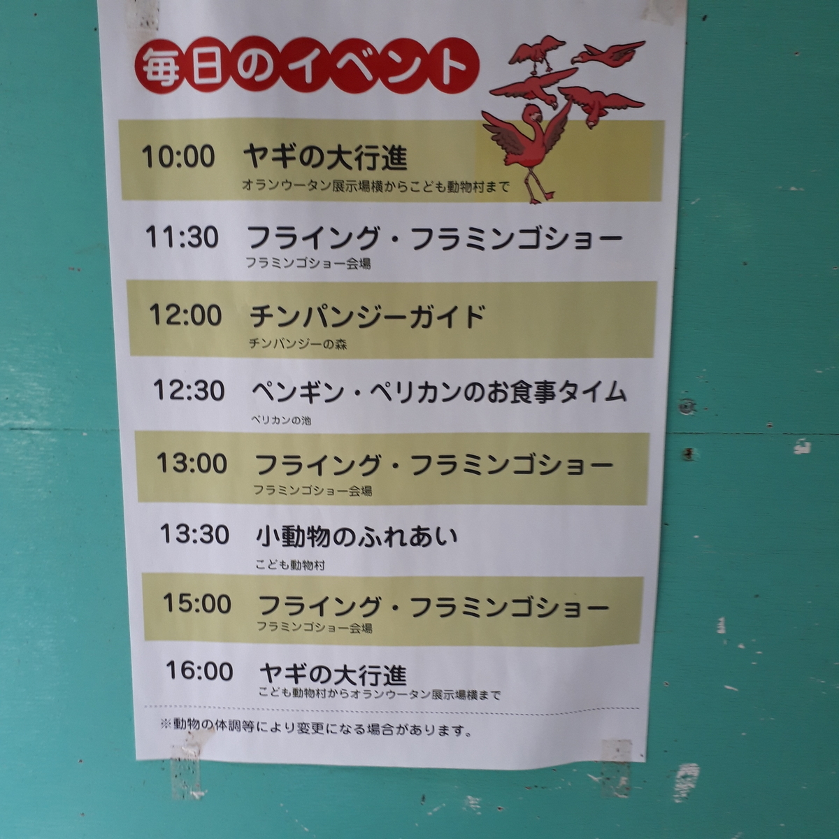 宮崎市フェニックス自然動物園 毎日のイベント