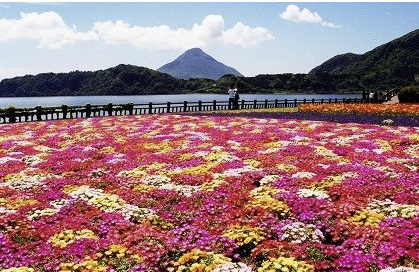 揖宿 池田湖
