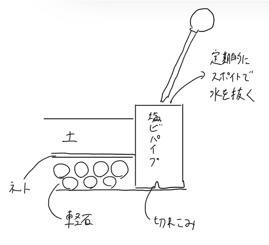 f:id:mizukaki-kun:20210109204206j:image