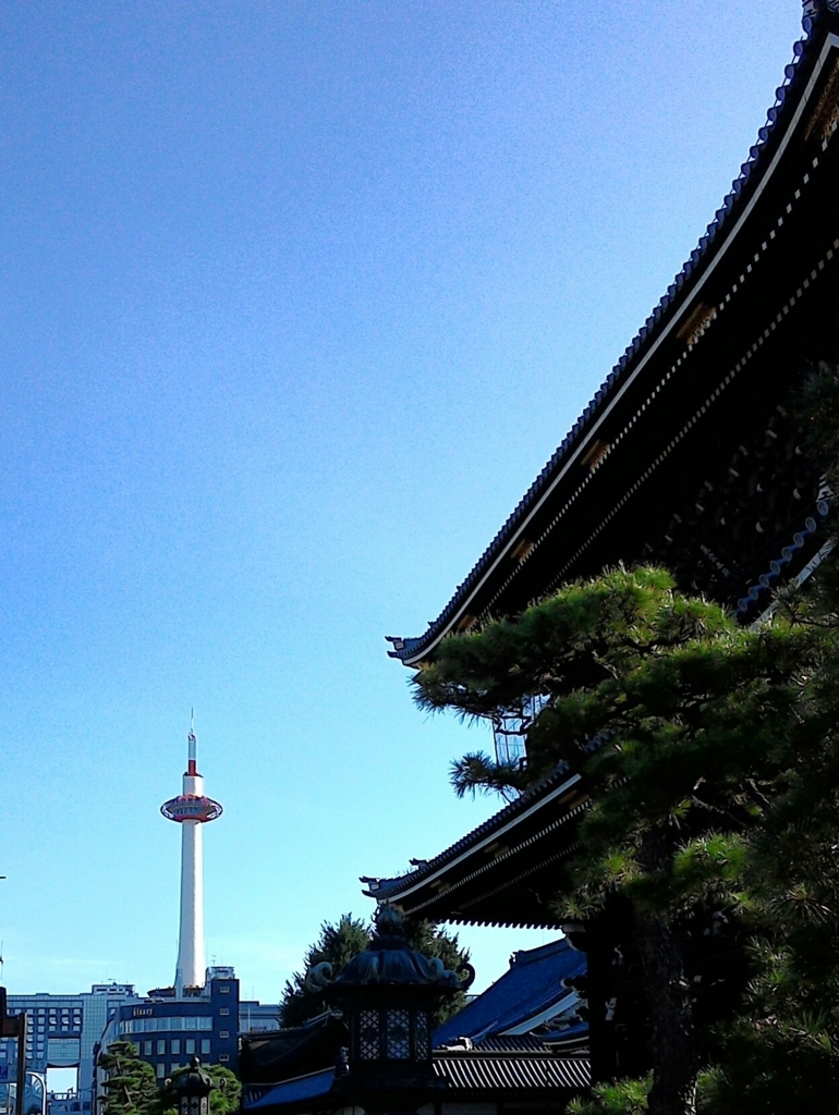 f:id:mizuki-s:20170828210223j:plain f:id:mizuki-s:20170828210223j:plain