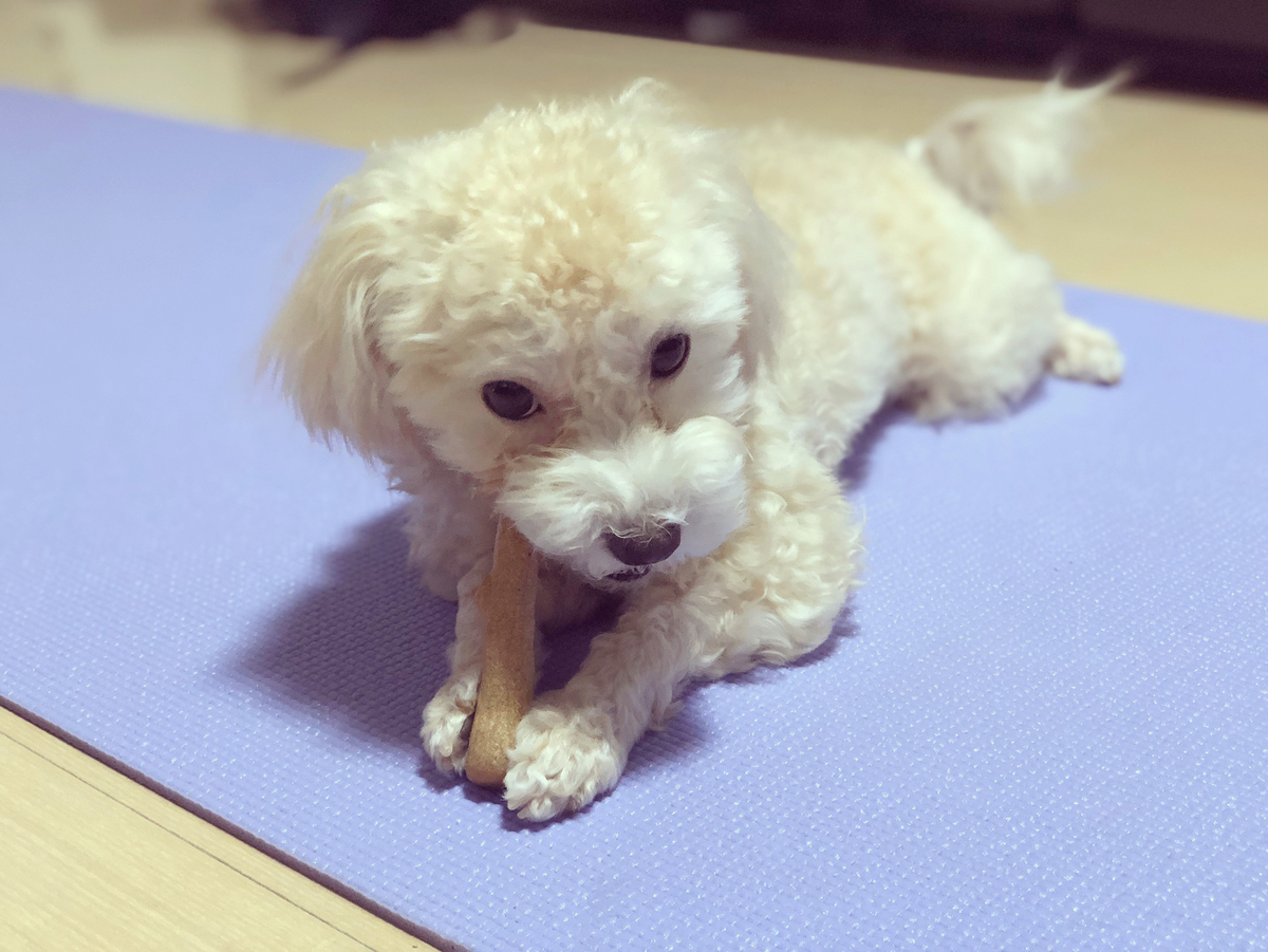 f:id:mizuki021190:20200626002018j:plain