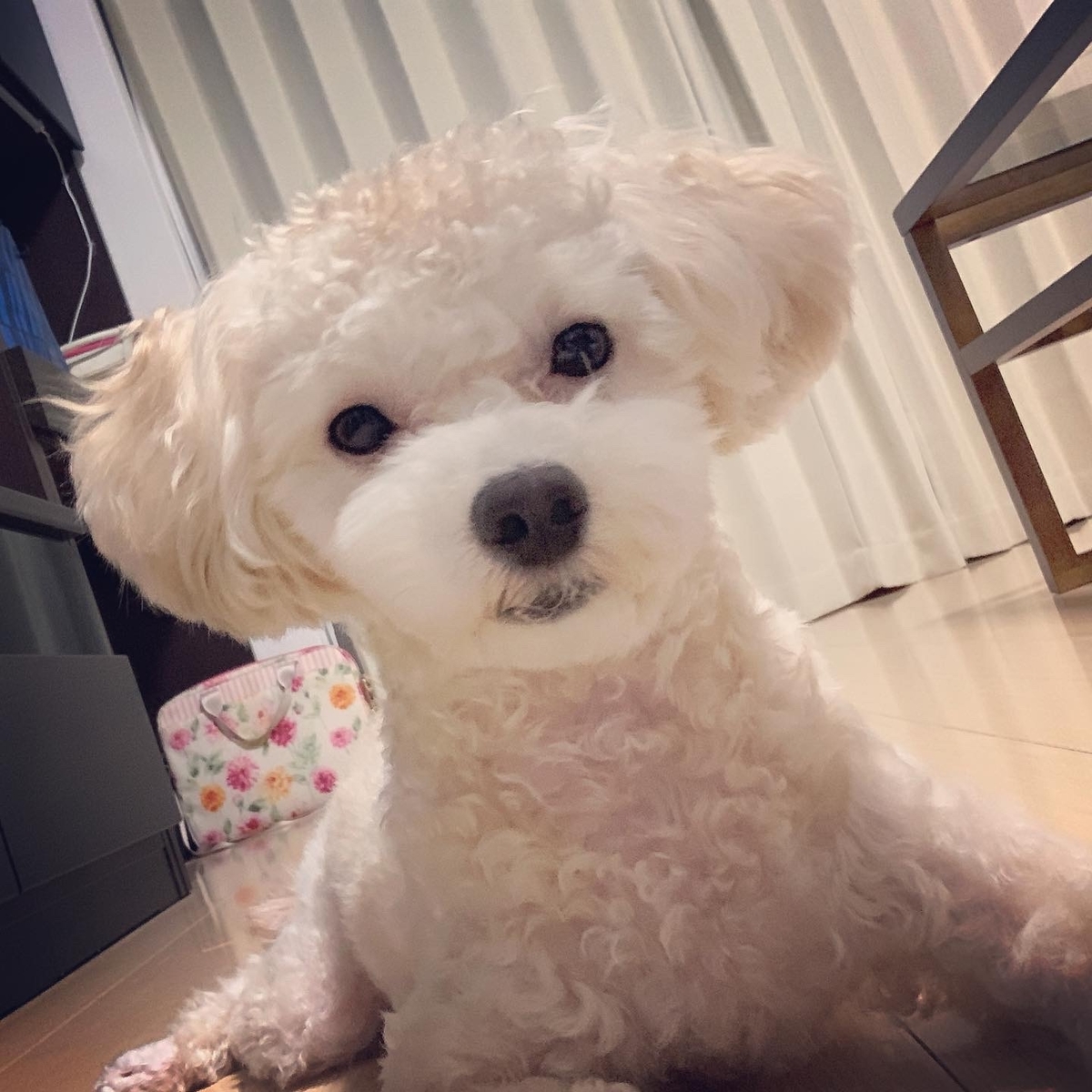 f:id:mizuki021190:20200817221942j:plain f:id:mizuki021190:20200817221942j:plain