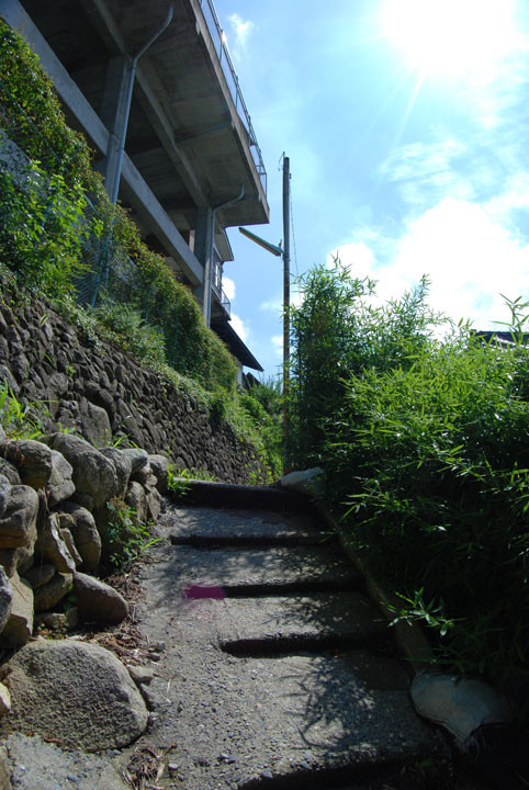 f:id:mizuki_akise:20090809221144j:image f:id:mizuki_akise:20090809221144j:image