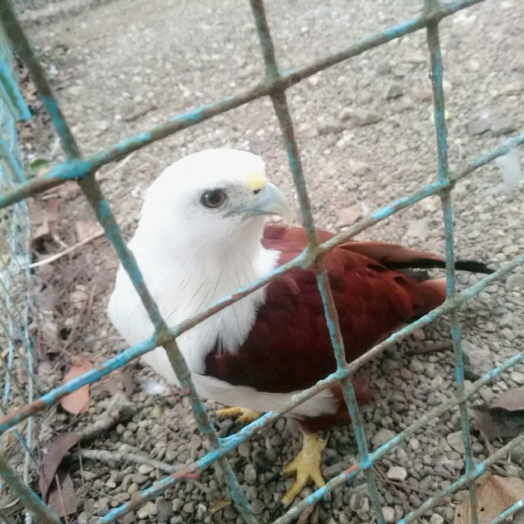 f:id:mizukifukuda08:20160821035542j:plain f:id:mizukifukuda08:20160821035542j:plain