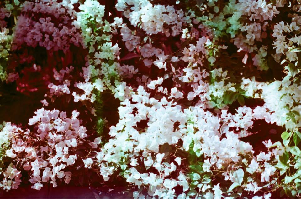 f:id:mizukikahochi:20161018191827j:plain f:id:mizukikahochi:20161018191827j:plain