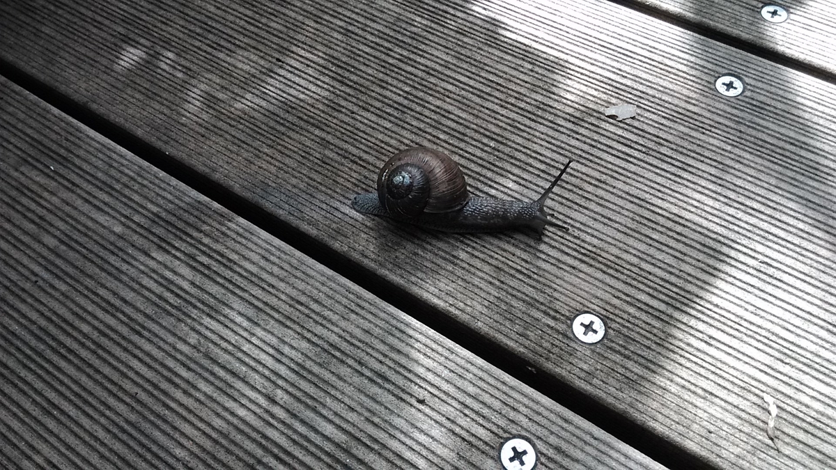 f:id:mizukinoko:20190827194906j:plain f:id:mizukinoko:20190827194906j:plain