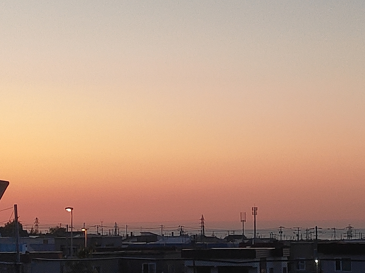 f:id:mizukinoko:20200529201156j:plain
