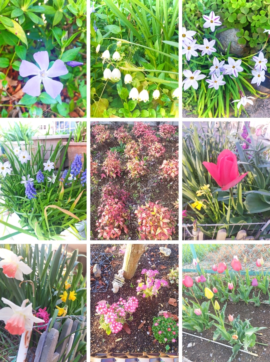 枯れない花です。特許を持っております！一つ一つが手作りです 花瓶 