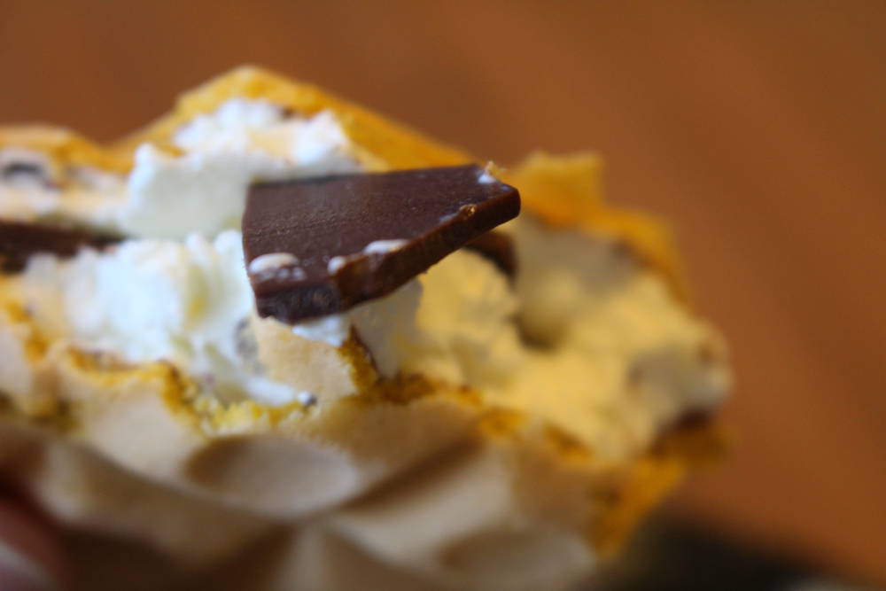 f:id:mizumotohideto:20170123225136j:plain