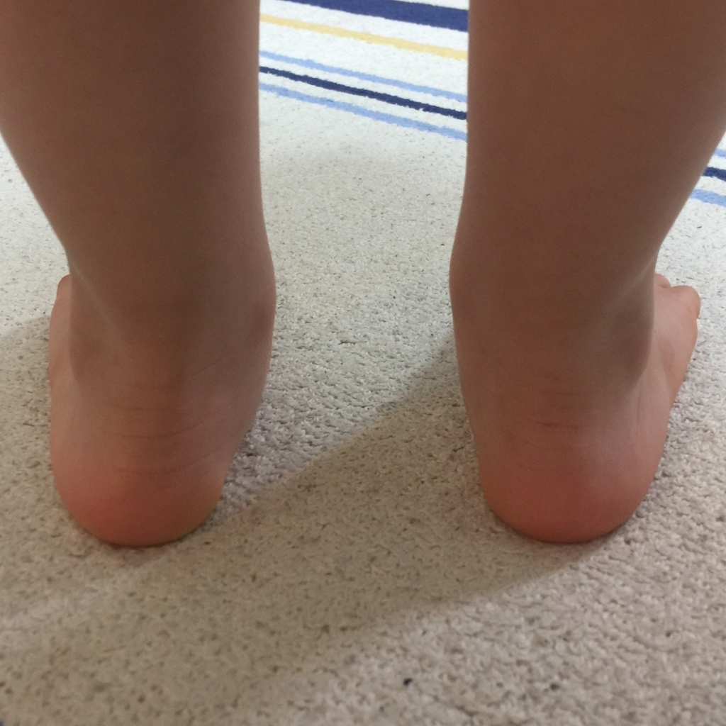 f:id:mizunadesu:20180427235304j:plain f:id:mizunadesu:20180427235304j:plain