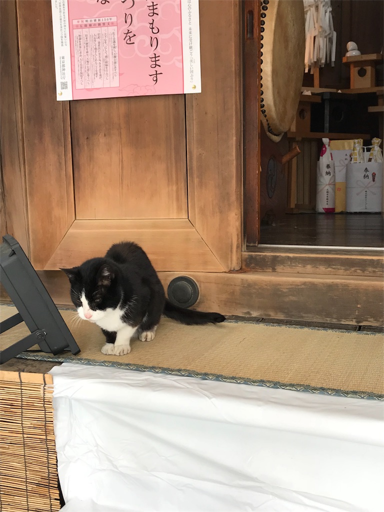 f:id:mizunanazuna:20180116132347j:image