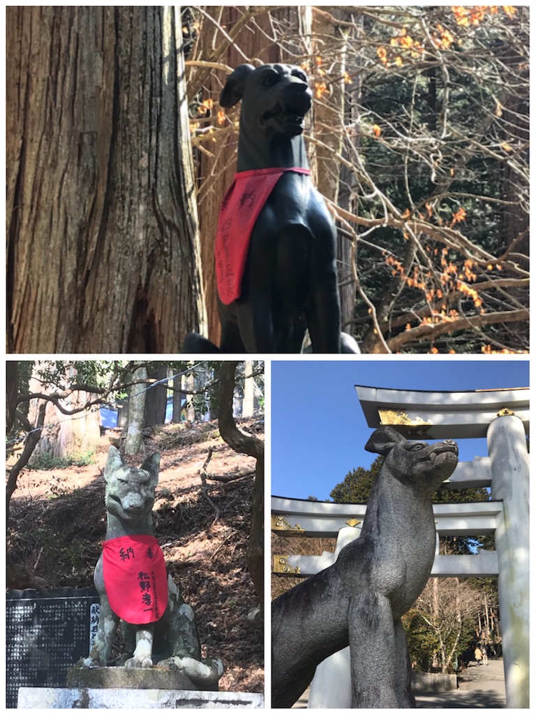 f:id:mizunanazuna:20180123120735j:image
