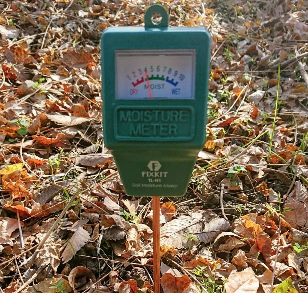 f:id:mizunashi_rin:20161201140153p:plain f:id:mizunashi_rin:20161201140153p:plain