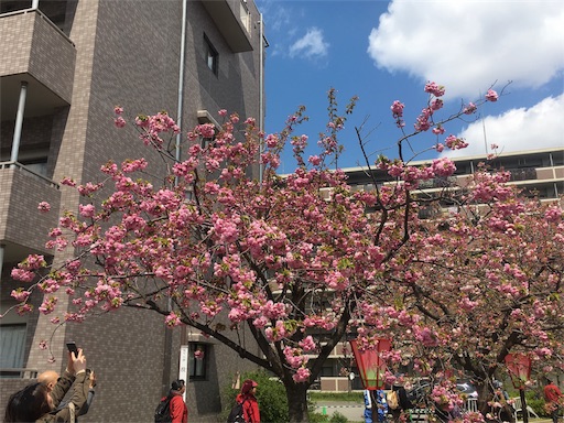 f:id:mizunochan:20190416231621j:image f:id:mizunochan:20190416231621j:image