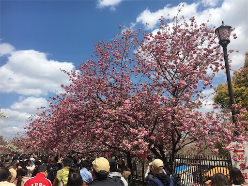 f:id:mizunochan:20190416231704j:image f:id:mizunochan:20190416231704j:image