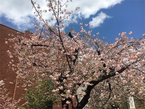 f:id:mizunochan:20190416231756j:image f:id:mizunochan:20190416231756j:image