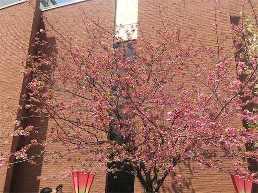 f:id:mizunochan:20190416231826j:image f:id:mizunochan:20190416231826j:image