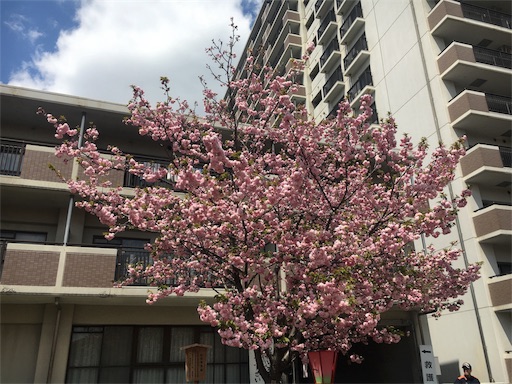 f:id:mizunochan:20190416231830j:image f:id:mizunochan:20190416231830j:image