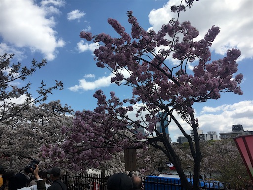 f:id:mizunochan:20190416231839j:image f:id:mizunochan:20190416231839j:image