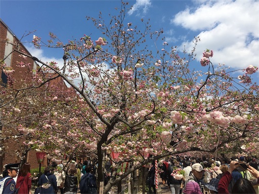 f:id:mizunochan:20190416231847j:image f:id:mizunochan:20190416231847j:image