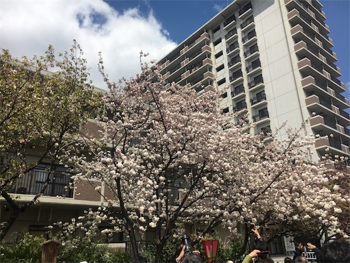 f:id:mizunochan:20190416231900j:image f:id:mizunochan:20190416231900j:image
