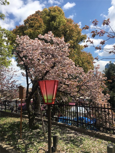f:id:mizunochan:20190416231905j:image f:id:mizunochan:20190416231905j:image