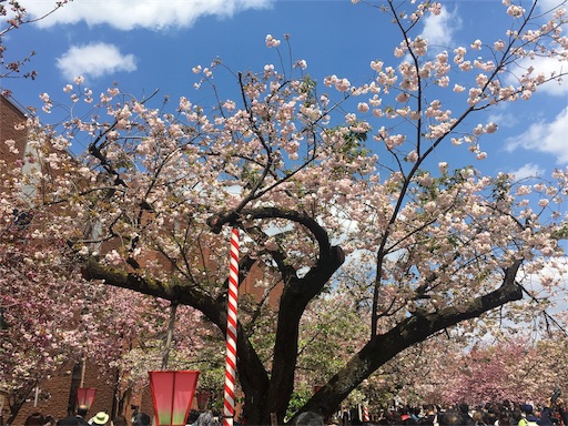 f:id:mizunochan:20190416231908j:image f:id:mizunochan:20190416231908j:image