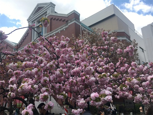 f:id:mizunochan:20190416231918j:image f:id:mizunochan:20190416231918j:image