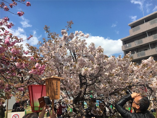 f:id:mizunochan:20190416231927j:image f:id:mizunochan:20190416231927j:image