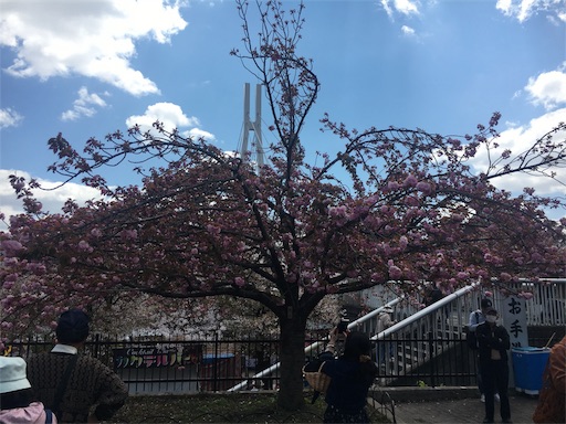 f:id:mizunochan:20190416231948j:image f:id:mizunochan:20190416231948j:image