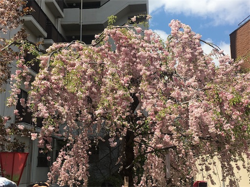 f:id:mizunochan:20190416231959j:image f:id:mizunochan:20190416231959j:image