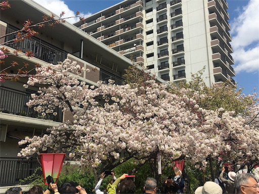 f:id:mizunochan:20190416232011j:image f:id:mizunochan:20190416232011j:image