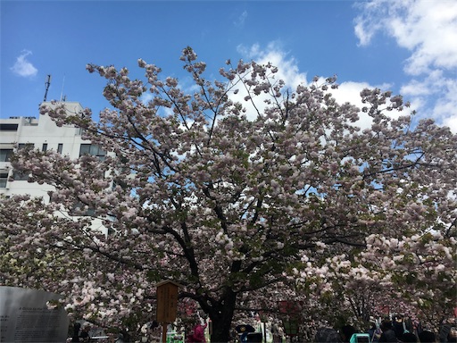 f:id:mizunochan:20190416232023j:image f:id:mizunochan:20190416232023j:image