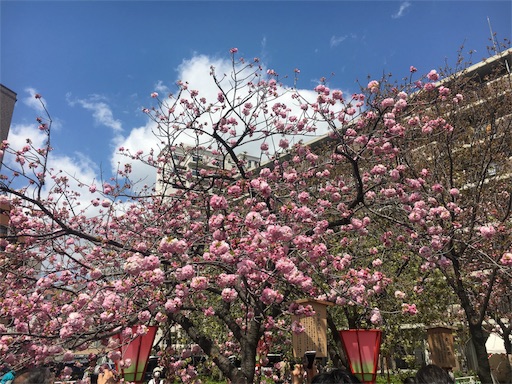 f:id:mizunochan:20190416232041j:image f:id:mizunochan:20190416232041j:image