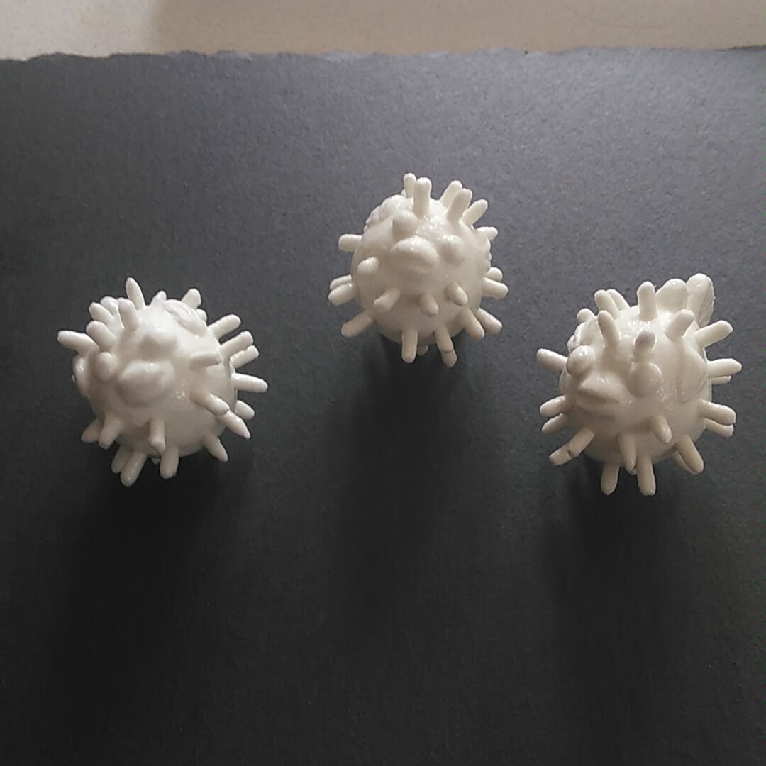 ミドリフグとは 動植物の人気 最新記事を集めました はてな