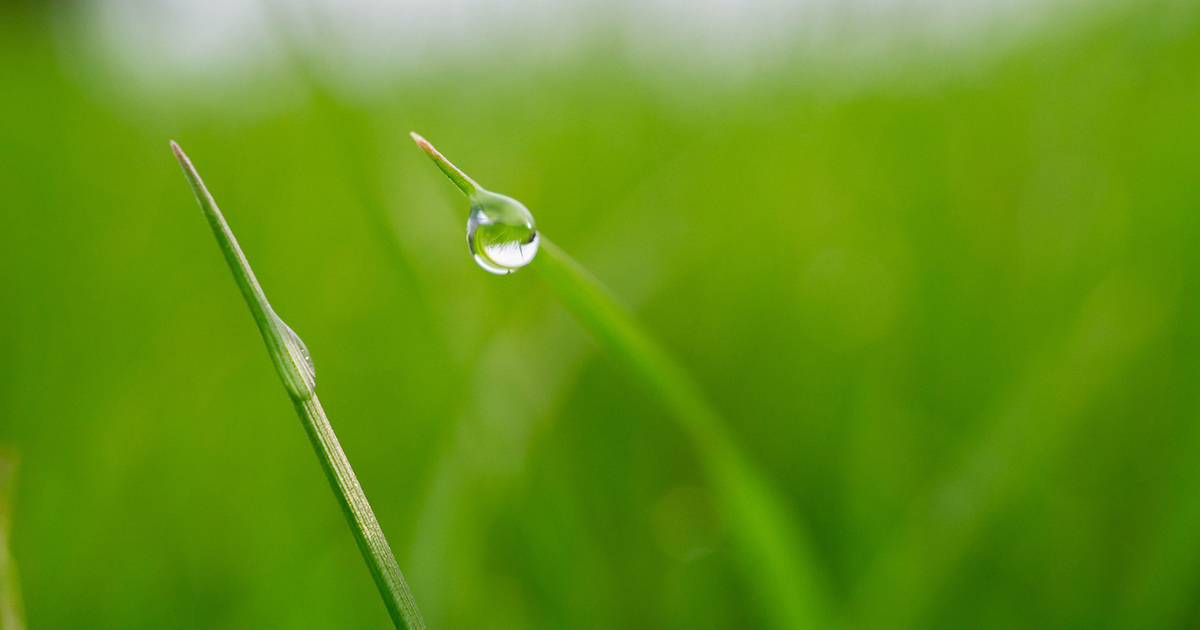 日本語教師の国家資格化の議論の整理4 教育実習と筆記試験 日本語ジャーナル