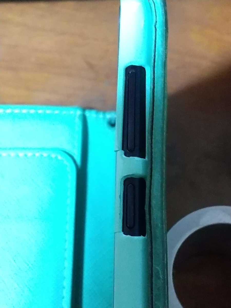 f:id:mizusato_ume:20191231103413j:plain