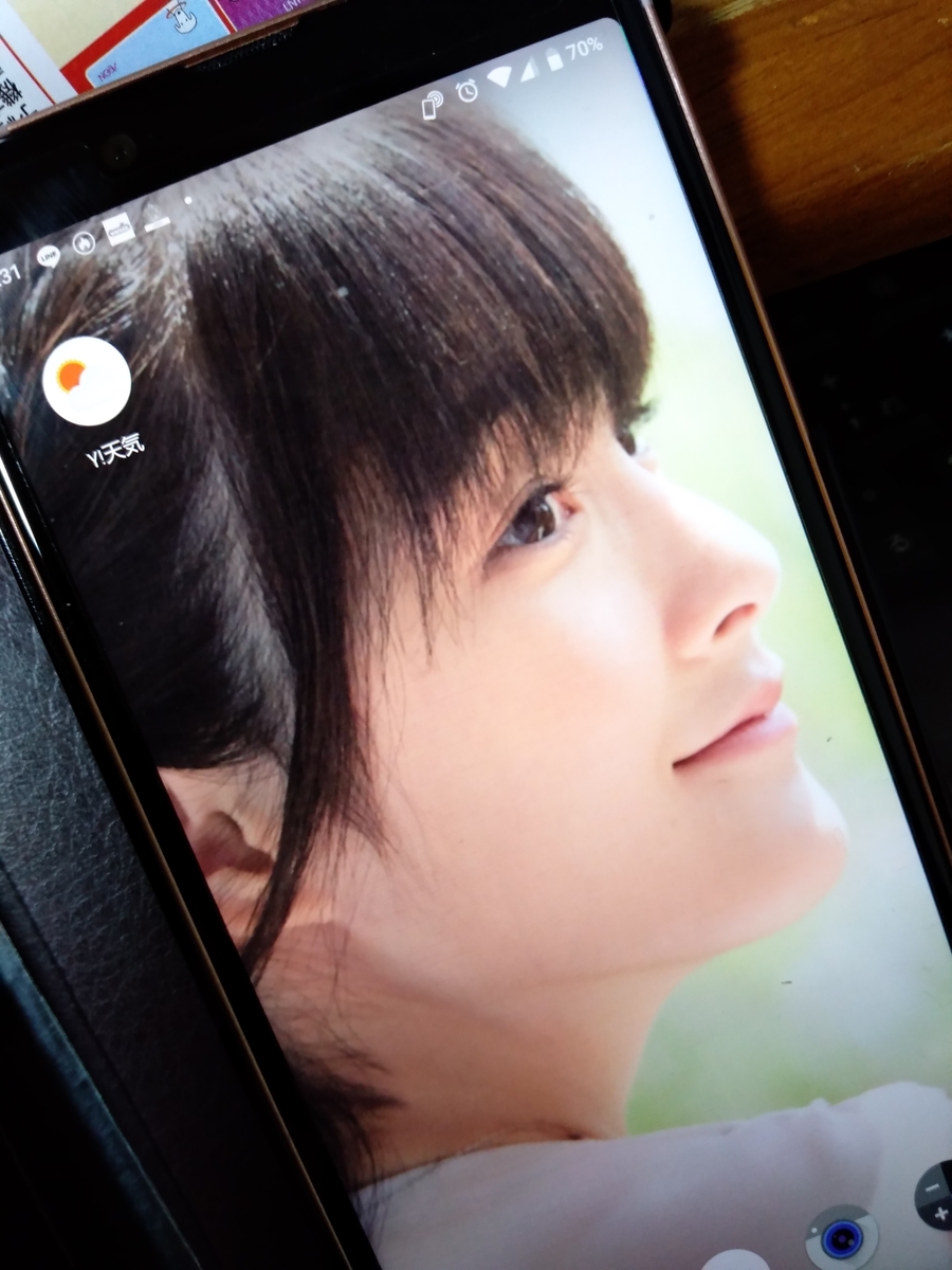 f:id:mizusato_ume:20191231203655j:plain