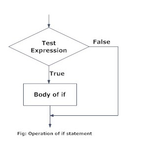 f:id:mizushou:20190113233942p:plain f:id:mizushou:20190113233942p:plain
