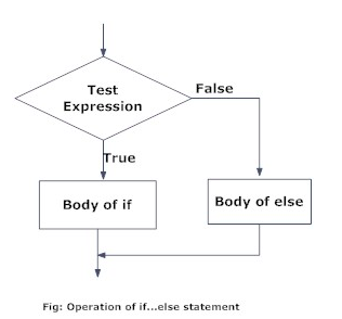 f:id:mizushou:20190113234141p:plain f:id:mizushou:20190113234141p:plain