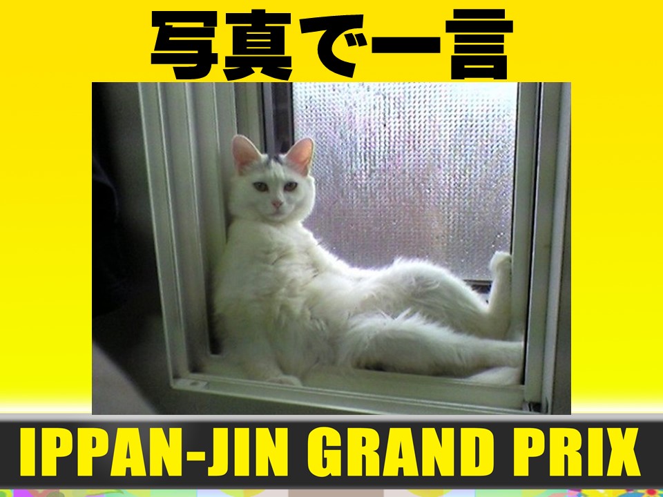 f:id:mizushunsuke:20191110122151j:plain f:id:mizushunsuke:20191110122151j:plain