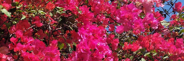f:id:mizutaiso:20240112225800j:image