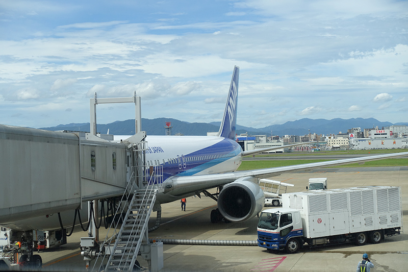 f:id:mizutama6:20180808165438j:plain f:id:mizutama6:20180808165438j:plain