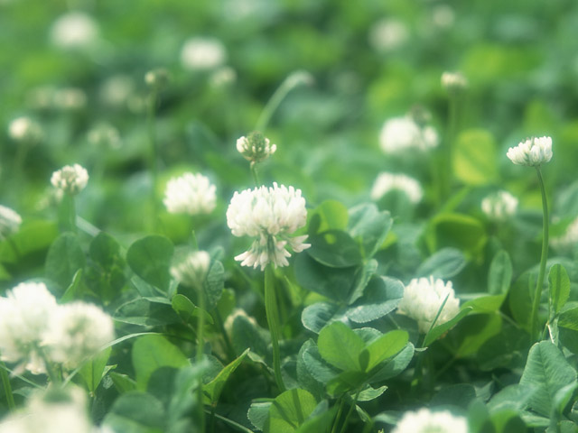 f:id:mizutamado:20190309165615j:plain f:id:mizutamado:20190309165615j:plain